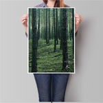 Foto Poster Wald