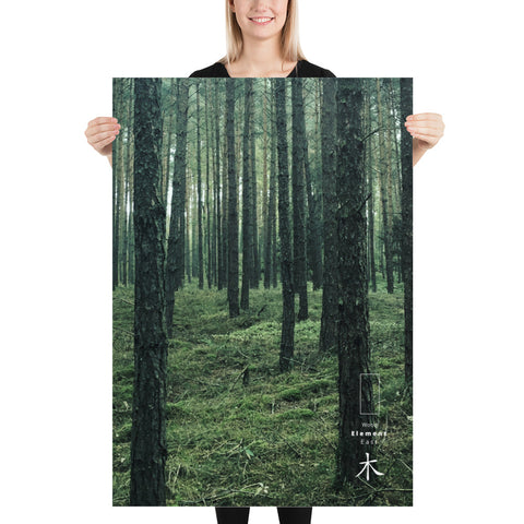 Foto Poster Wald