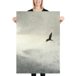 Foto Poster - Metall Bird